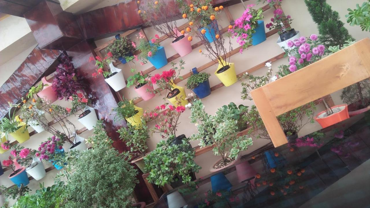Shalom Inn Home Stay 大吉岭 外观 照片