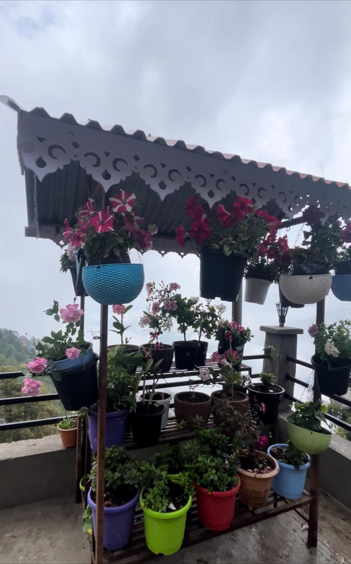 Shalom Inn Home Stay 大吉岭 外观 照片